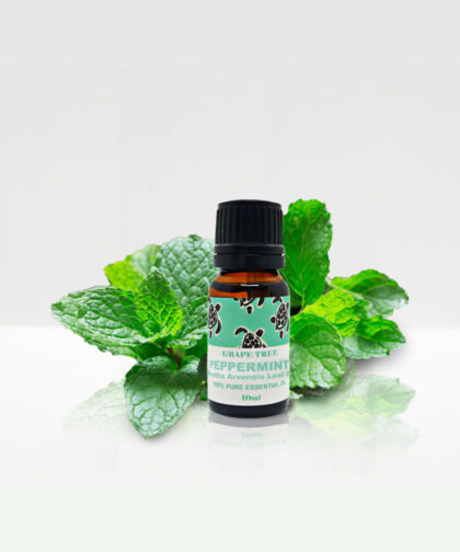 Peppermint Essential Oil