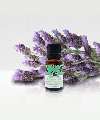 Lavender Essential Oil