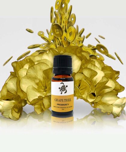 Prosperity Essential Oil: Blend